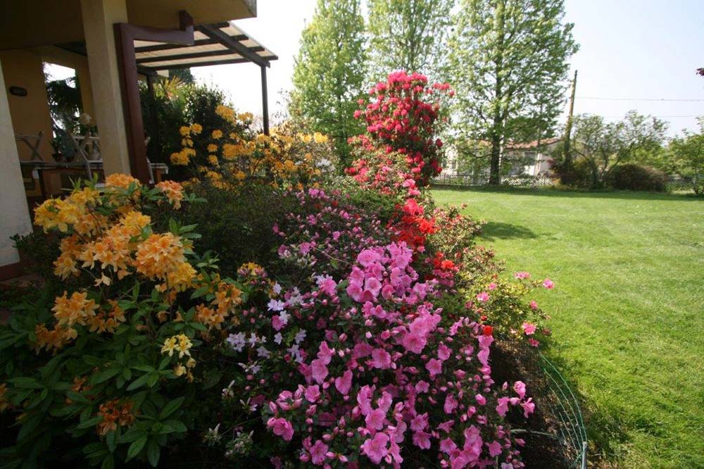 vendita aiuole con fiori per giardini e terrazze - vivaista padova